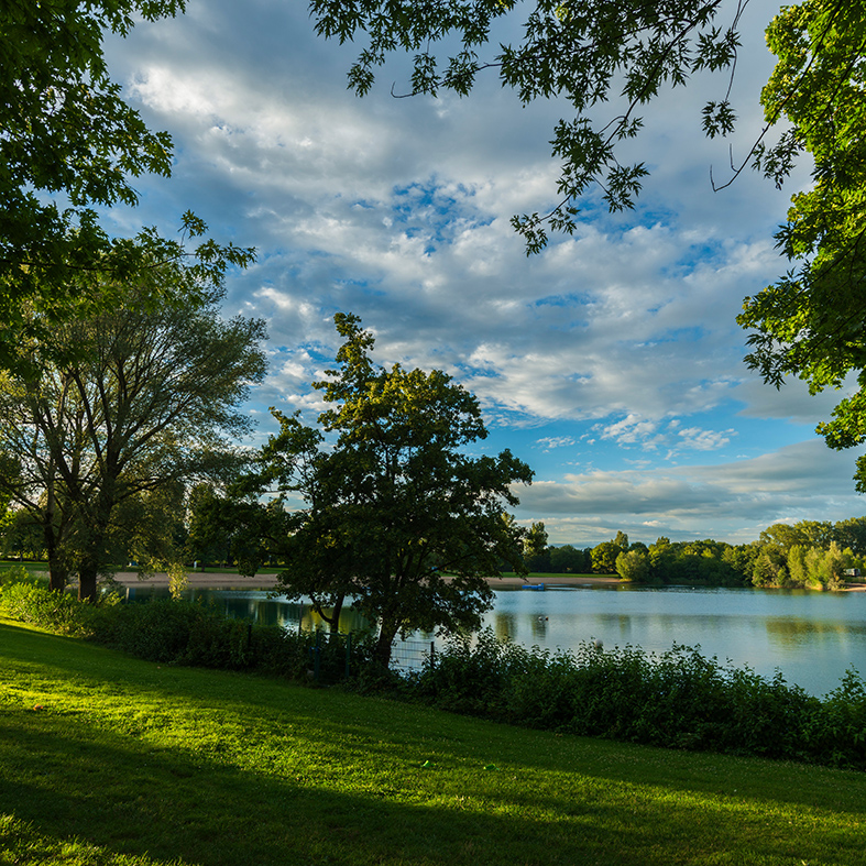 Der Badesee in Heddesheim im Sommer