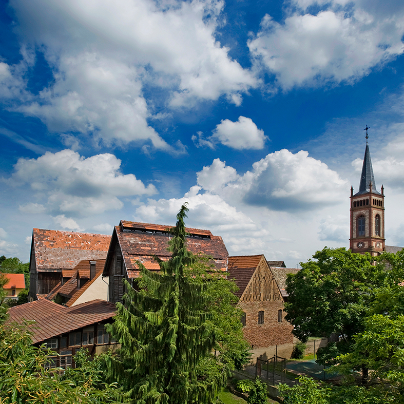 Dächer und Kirchturm von Heddesheim